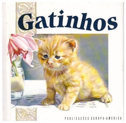 Gatinhos