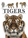 Tigers