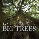Kew’s Big Trees