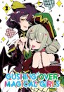 Gushing Over Magical Girls: Vol 3 (Manga)