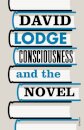 Consciousness And The Novel