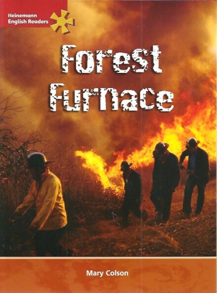Forest Furnace