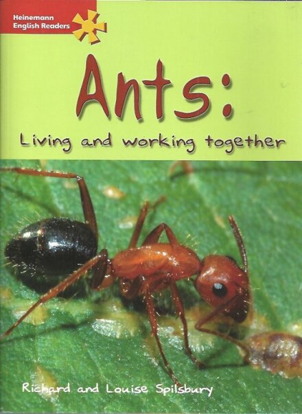 Ants: Living and Working Together