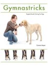 Gymnastricks