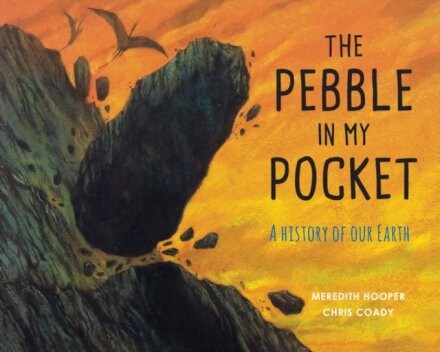 The Pebble in My Pocket : A History of Our Earth