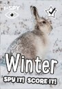 i-SPY Winter