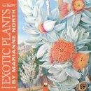 Kew Gardens: Exotic Plants by Marianne North Wall Calendar 2025 (Art Calendar)