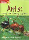 Ants: Living and Working Together