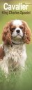 Cavalier King Charles Slim Calendar 2026  Dog Breed Slimline Calendar - 12 Month