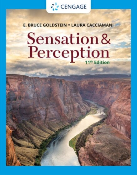 Sensation and Perception
