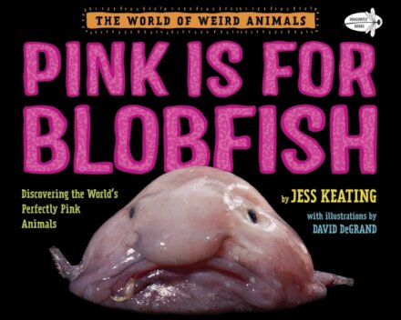 Pink Is For Blobfish