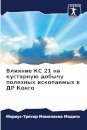 Влияние КС 21 на кустарную добычу полезных и&#