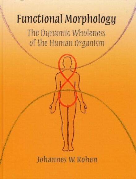 Functional Morphology