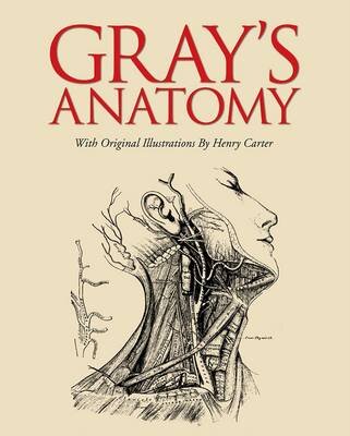 Gray'S Anatomy