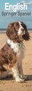 English Springer Spaniel  Slim Calendar 2026  Dog Breed Slimline Calendar - 12 Month