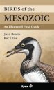 Birds of the Mesozoic