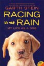 Racing In The Rain