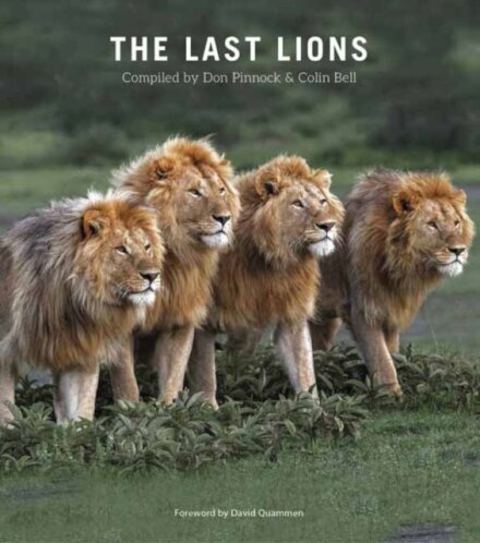 The Last Lions