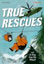 Read Write Inc. Fresh Start Readers: Book 11: True Rescues & A Dog Can Do What?