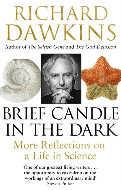 Brief Candle In The Dark