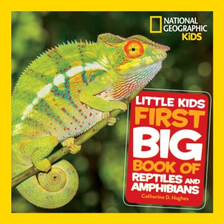 Little Kids First Big Book Of Reptiles And Amphibi