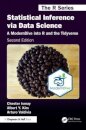 Statistical Inference via Data Science