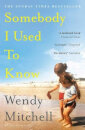 Somebody I Used To Know