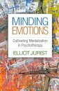 Minding Emotions