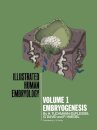 Embryogenesis