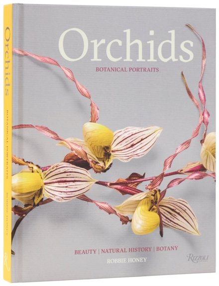 Orchids: Botanical Portraits