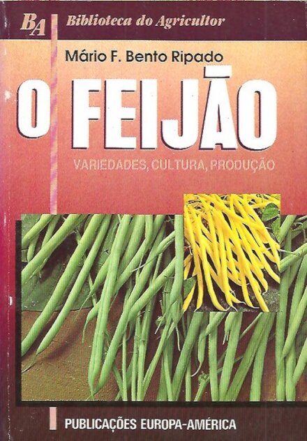 O Feijão