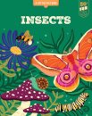 Lift the Fact: Insects