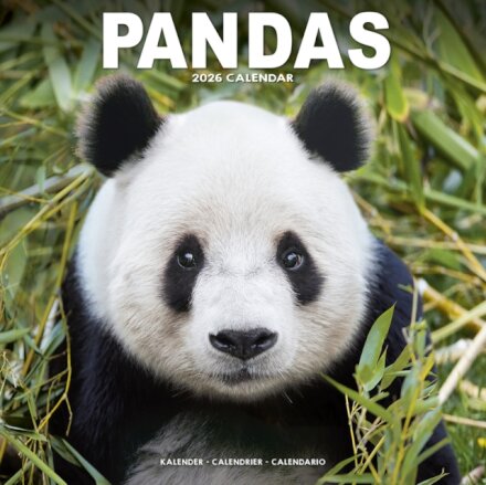 Panadas Calendar 2026 Square Animal Wall Calendar - 16 Month