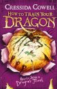 How To Train Your Dragon 10: How To Seize A Dragon