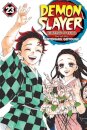 Demon Slayer V23