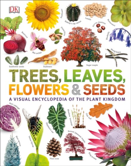 Trees. Leaves. Flowers And Seeds