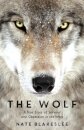 The Wolf