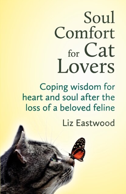 Soul Comfort for Cat Lovers