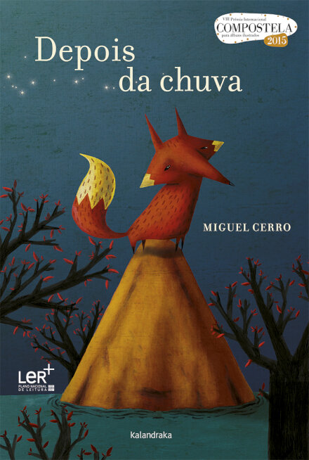 Depois da chuva