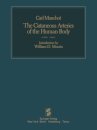 The Cutaneous Arteries of the Human Body