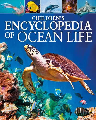 Children's Encyclopedia Of Ocean Life