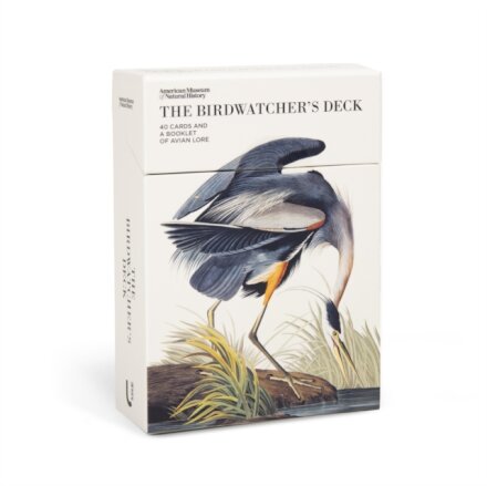 The Birdwatcher's Deck