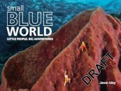 Small Blue World