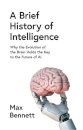 Grey Matters: A Brief History Of Brains