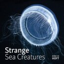 Strange Sea Creatures