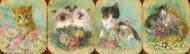 Pocket Note Set of 4 Mini-pads: Vintage Kittens