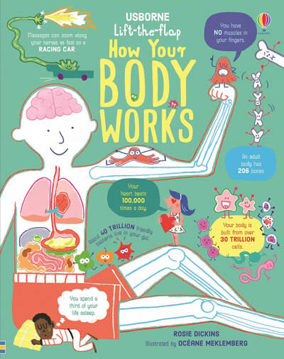 Lift The Flap How Your Body Works