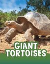 Giant Tortoises