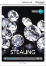 Stealing High Beginning Book with Online Access