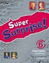 Super Surprise: 6 Course Book